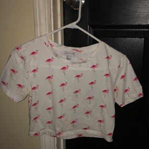 Flamingo crop top